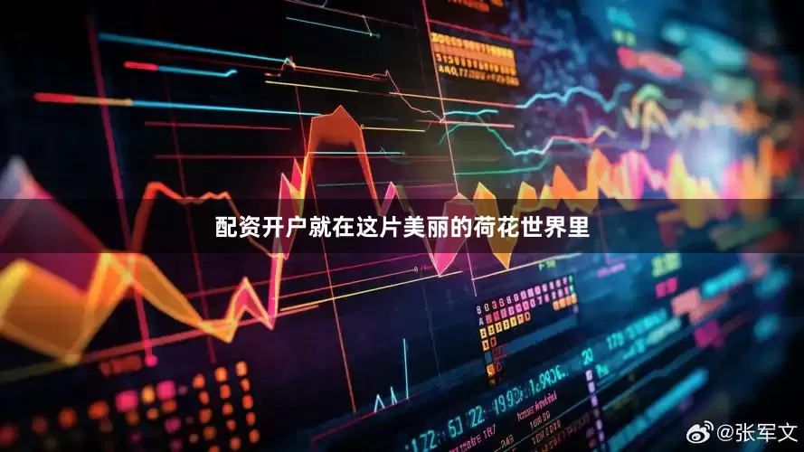 配资开户就在这片美丽的荷花世界里