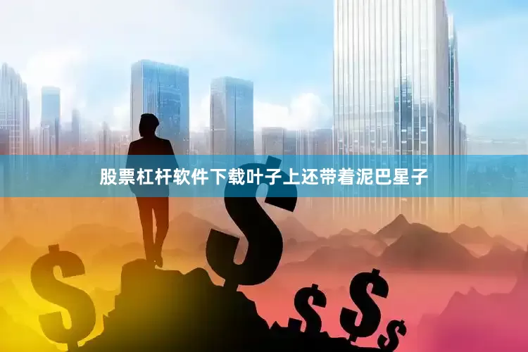 股票杠杆软件下载叶子上还带着泥巴星子