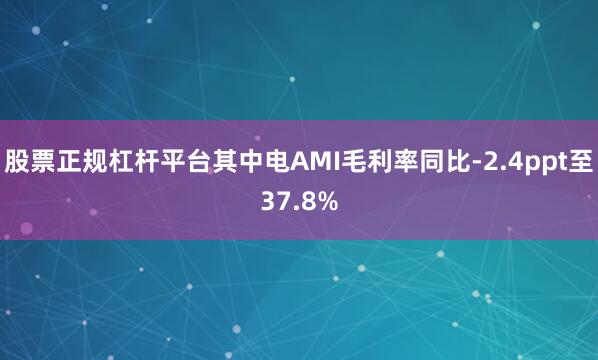 股票正规杠杆平台其中电AMI毛利率同比-2.4ppt至37.8%