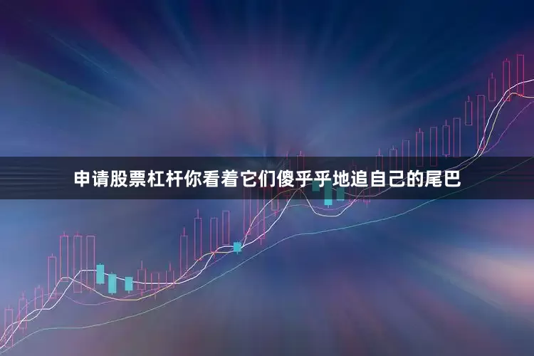 申请股票杠杆你看着它们傻乎乎地追自己的尾巴