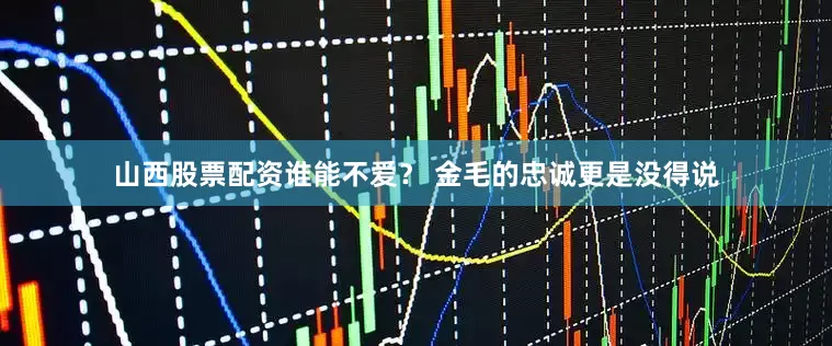 山西股票配资谁能不爱？ 金毛的忠诚更是没得说