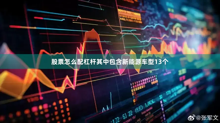 股票怎么配杠杆其中包含新能源车型13个