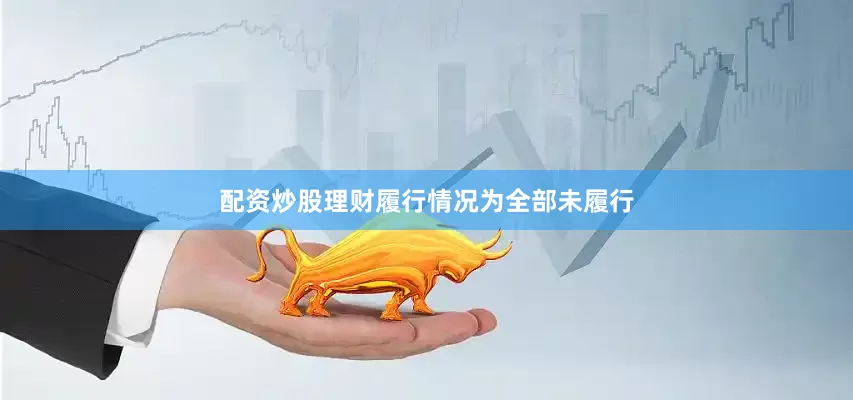 配资炒股理财履行情况为全部未履行